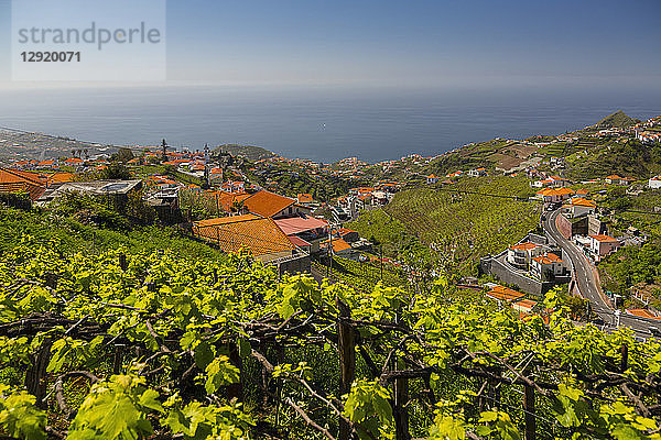 Blick auf Weinberg  Landschaft und Atlantik bei Cabo Girao  Camara de Lobos  Madeira  Portugal  Atlantik