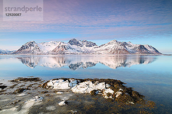 Schneebedeckte Gipfel  die sich im klaren Meer spiegeln  Grundstad  Lofoten-Inseln  Nordland  Norwegen