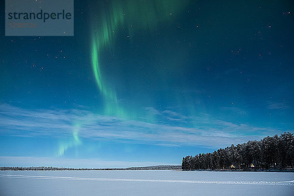 Aurora Borealis (Nordlicht)  Pallas-Ylllastunturi-Nationalpark  Lappland  Finnland  Europa