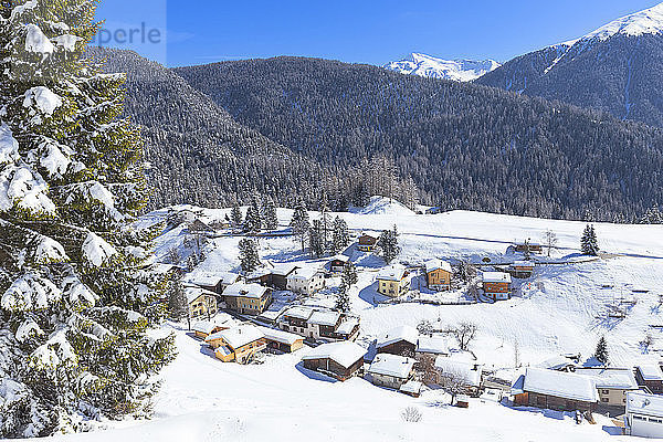 Dorf Davos Wiesen  Landwassertal  Albulatal  Bezirk Prattigau/Davos  Kanton Graubünden  Schweiz