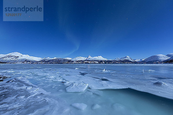 Nordlicht (Aurora borealis) auf den Lyngen-Alpen und dem zugefrorenen Meer  Storsteinnes  Gemeinde Balsfjord  Bezirk Troms  Norwegen  Skandinavien