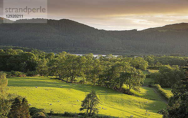Blick auf den Bassenthwaite Lake in der Ferne  Lake District National Park  UNESCO-Weltkulturerbe  Cumbria  England  Vereinigtes Königreich  Europa