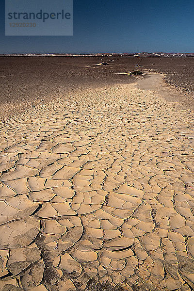 Gebackener weißer Lehm schafft surreale Wege in der Wüste nahe der berüchtigten Skelettküste  Namibia