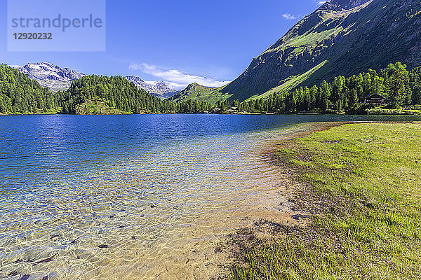 Klares Wasser am Cavloc See  Forno Tal  Maloja Pass  Engadin  Graubünden  Schweiz  Europa