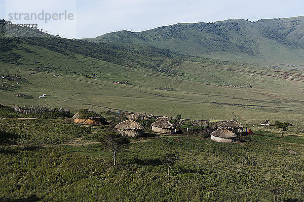 Ein Massai-Dorf in der Ngorongoro Conservation Area  Serengeti  Tansania  Ostafrika  Afrika