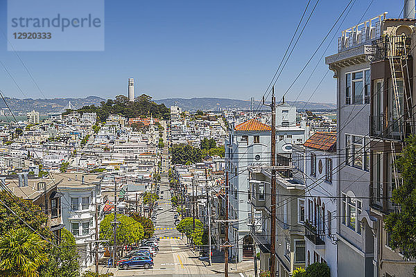 Blick auf den Coit Tower vom Russian Hill  San Francisco  Kalifornien  Vereinigte Staaten von Amerika  Nord-Amerika