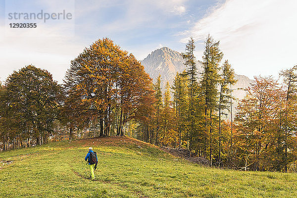 Wanderer auf grüner Wiese im Herbst  Piani Resinelli  Valsassina  Provinz Lecco  Lombardei  Italienische Alpen  Italien
