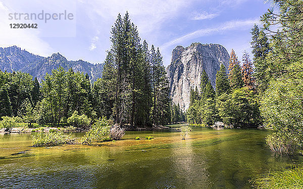 Cathedral Rocks vom Yosemite Valley  UNESCO-Welterbe  Kalifornien  Vereinigte Staaten von Amerika  Nordamerika