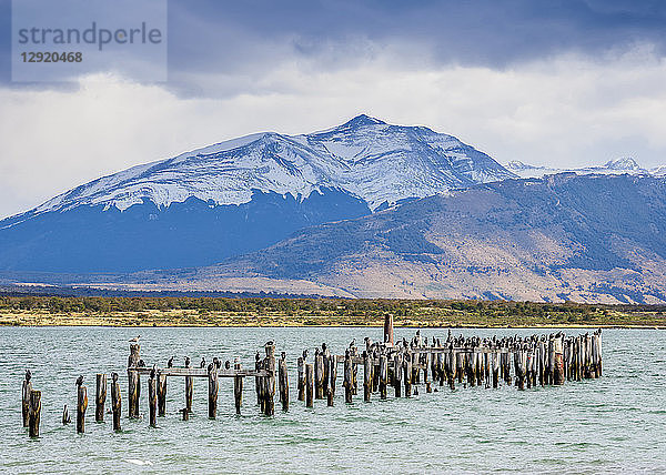 Gaffos Pier  Golf von Admiral Montt  Puerto Natales  Provinz Ultima Esperanza  Patagonien  Chile  Südamerika