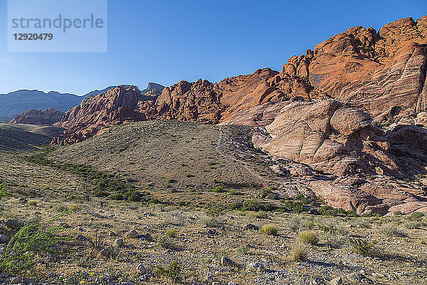 Blick auf Felsformationen und Flora im Red Rock Canyon National Recreation Area  Las Vegas  Nevada  Vereinigte Staaten von Amerika  Nordamerika