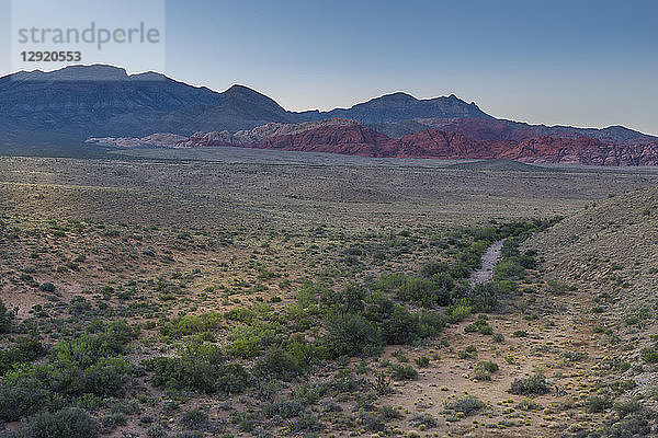 Blick auf Felsformationen und Flora in der Red Rock Canyon National Recreation Area  Las Vegas  Nevada  Vereinigte Staaten von Amerika  Nordamerika