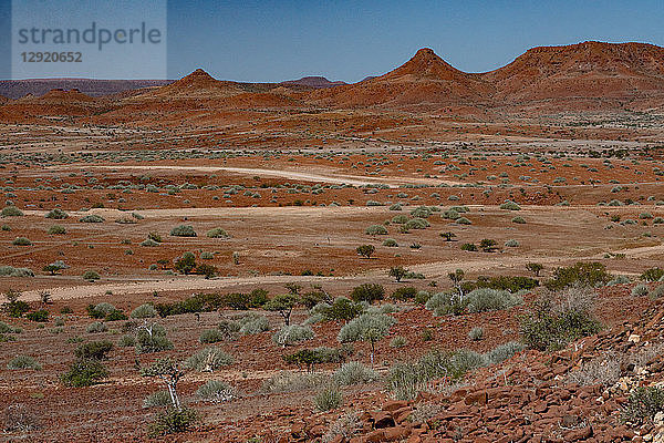 Rote Felslandschaft mit Dornenbäumen und Sträuchern  nördlich von Palmwag  Namibia