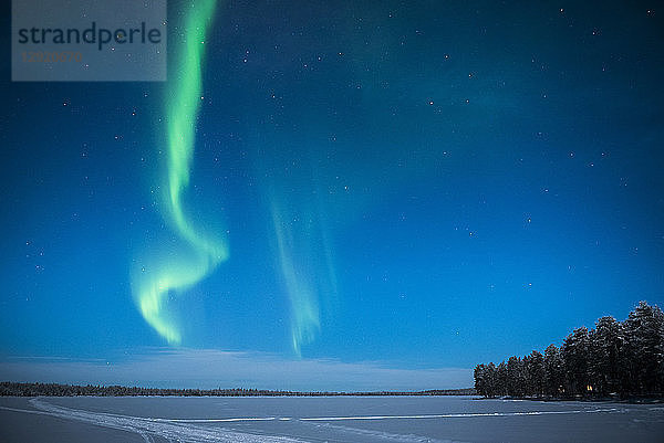 Aurora Borealis (Nordlicht)  Pallas-Yllastunturi-Nationalpark  Lappland  Finnland  Europa