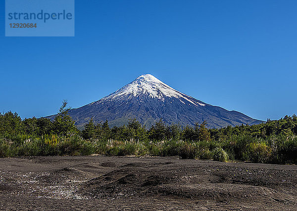 Vulkan Osorno  Petrohue  Provinz Llanquihue  Region Los Lagos  Chile  Südamerika
