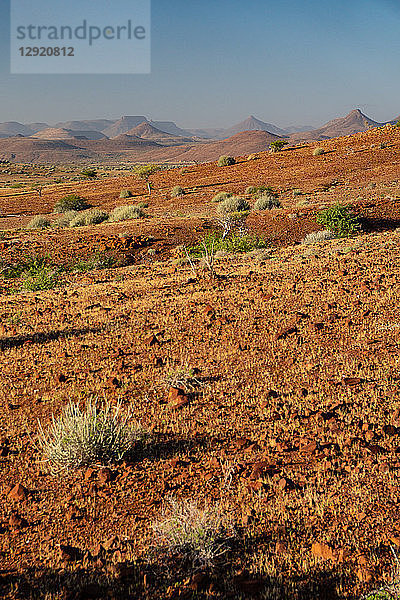 Typischer roter Schotterboden  Etendeka  Namibia