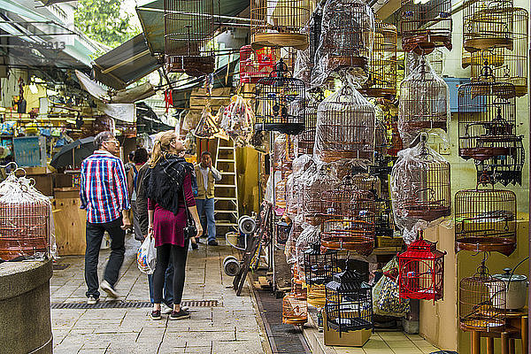 Vogelgartenmarkt in der Yuen Po Street  Mongkok  Kowloon  Hongkong  China  Asien