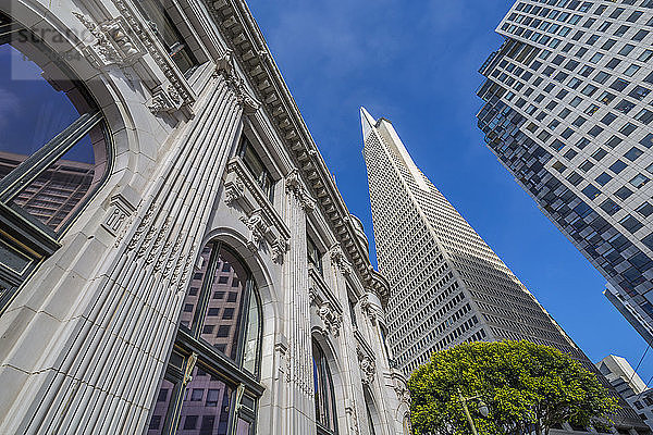Blick auf die Transamerica Pyramid im Finanzviertel von Downtown  San Francisco  Kalifornien  Vereinigte Staaten von Amerika  Nordamerika