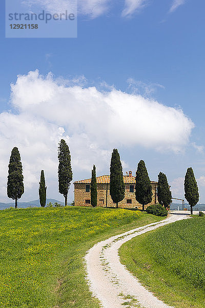 Toskanische Villa  gewundener Weg und Zypressen mit blauem Himmel in der Nähe von Pienza  Toskana  Italien