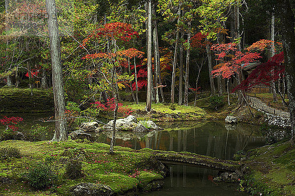 Herbstfarben im Moosgarten des Saiho-ji-Tempels  UNESCO-Weltkulturerbe  Kyoto  Japan  Asien