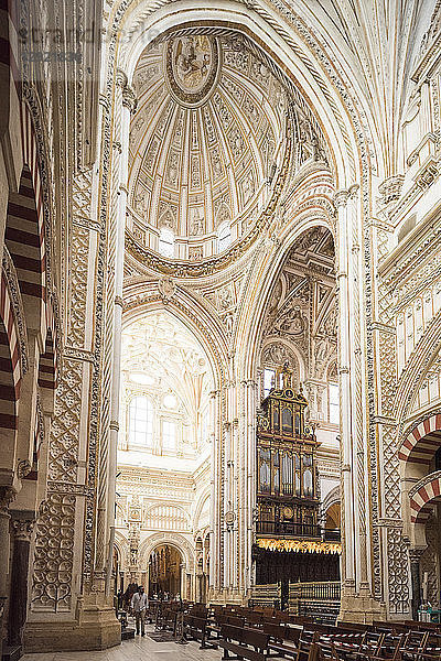 Das Innere der Großen Moschee (Kathedrale Unserer Lieben Frau der Himmelfahrt) (Mezquita) von Cordoba  UNESCO-Weltkulturerbe  Cordoba  Andalusien  Spanien  Europa