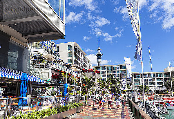 Restaurants und Bars in der Hafengegend  Viaduct Harbour  Auckland  Nordinsel  Neuseeland  Pazifik