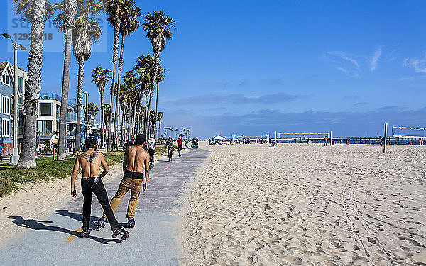 Venice Beach  Los Angeles  Kalifornien  Vereinigte Staaten von Amerika  Nordamerika