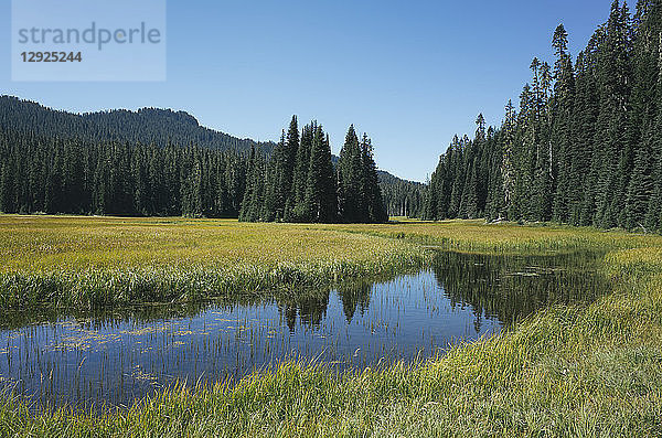 Bumping River  der durch alpine Wiesen und Wälder entlang des Pacific Crest Trail in der Kaskadenkette auf dem Pacific Crest Trail fließt.