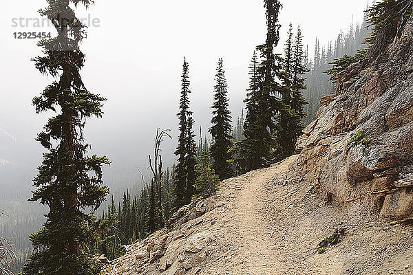Der Pacific Trail windet sich entlang eines rauchigen und dunstigen Abschnitts in der Nähe des Cutthroat Pass  North Cascades  Washington