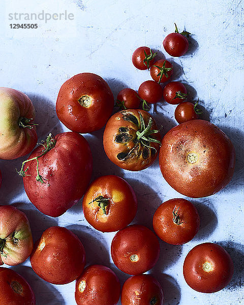 Verschiedene frisch geerntete Tomaten (von oben gesehen)