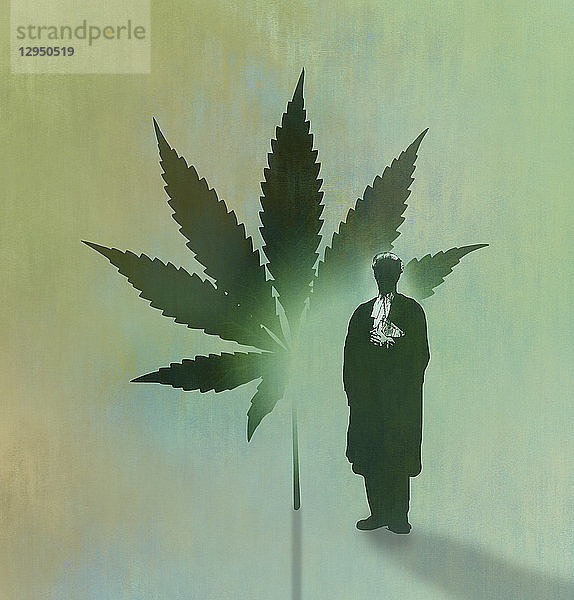 Rechtsanwalt und Cannabisblatt