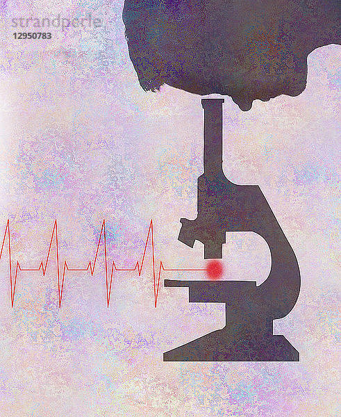 Mann betrachtet EKG unter dem Mikroskop