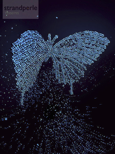 Dreidimensionaler Qubit-Schmetterling