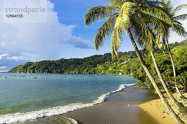Blick auf die Bucht von Charlotteville und den Strand  Charlotteville  Tobago  Trinidad und Tobago  Westindien  Südamerika