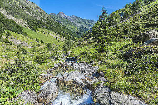 Frankreich  Pyrenäen-Nationalpark  Region Okzitanien  Val d'Azun  Haute-vallee d'Estaing  Wildbach