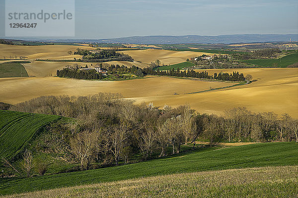 Frankreich  Okzitanien  Lauragais  Haute Garonne  gepflügte Felder im Frühling