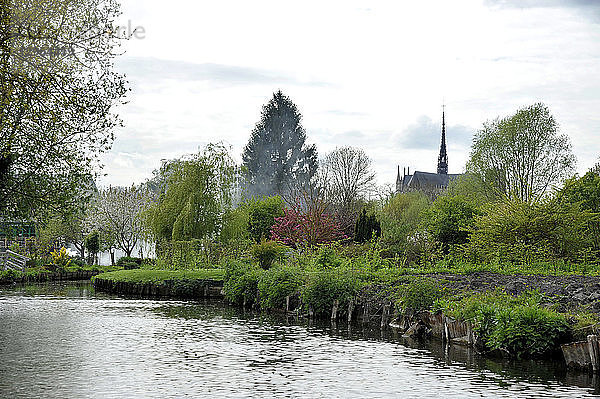 Frankreich  Region Hauts de France  Departement Somme  Stadt Amiens  schwimmende Gärten les Hortillonnages  im Hintergrund die Kathedrale Notre-Dame.