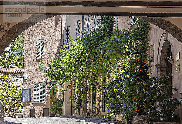 Frankreich  Provence-Alpes-Cote-d'Azur  Var  typische Häuser in Seillans (Plus Beaux Villages de France  eine Liste von Dörfern  die als les plus beaux (die schönsten) in Frankreich bezeichnet werden)