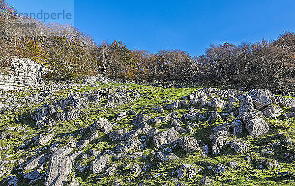 Frankreich  Pyrenees Atlantiques  Baskenland  Iraty-Massiv  Kalksteinpflaster