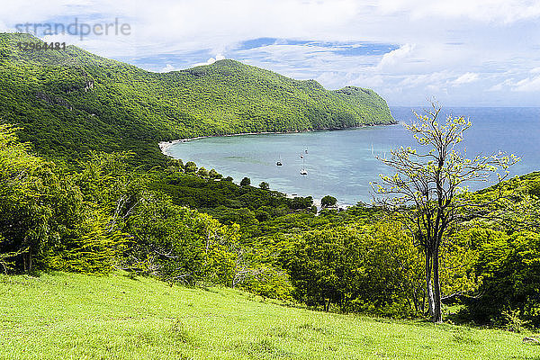 Blick auf die Chatham Bay  ein Naturpark  Union  St-Vincent  St. Vincent und die Grenadinen  Kleine Antillen  Westindische Inseln  Inseln über dem Winde  Karibik  Mittelamerika