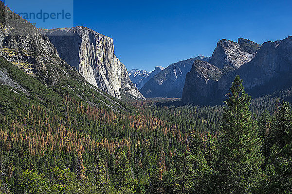 USA  Kalifornien  Yosemite National Park  El Capitan und Half Dome vom Artist Point aus.