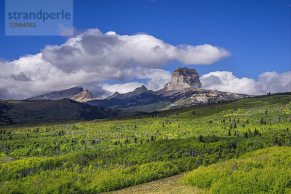 USA  Montana  Glacier National Park  Chief Mountain  östlich des Parks