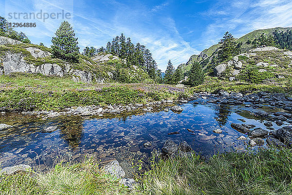 Frankreich  Regionaler Naturpark der Pyrenäen Ariegeoises  Garbet-Tal  Strecke des Wasserfalls von Ars und des Teichs von Guzet  Wildbach (Grande Randonnee 10  Nummer 10 eines Netzes von Fernwanderwegen in Europa)
