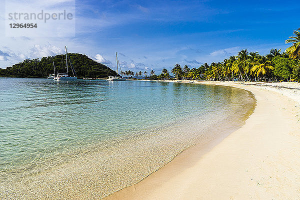 Der Strand von Salt Whistle Bay  einer der schönsten der Kleinen Antillen  Mayreau  Saint-Vincent und die Grenadinen  Westindien