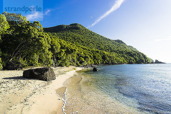 Strand mit Meer und Natur  Chatham Bay  Union  St-Vincent  St. Vincent und die Grenadinen  Kleine Antillen  Westindische Inseln  Inseln über dem Winde  Karibik  Mittelamerika