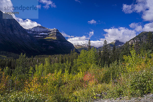 USA  Montana  Glacier National Park  zum Upper Saint Mary Lake