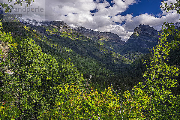 USA  Montana  Glacier National Park  Panorama von der Going to the Sun Road/