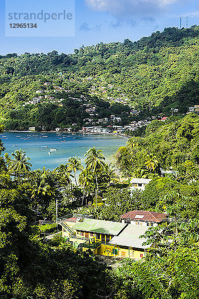 Blick auf das Dorf und die Natur  Charlotteville  Tobago  Trinidad und Tobago  Westindien  Südamerika
