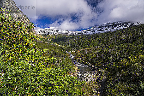 USA  Montana  Glacier National Park  Siyeh Creek/