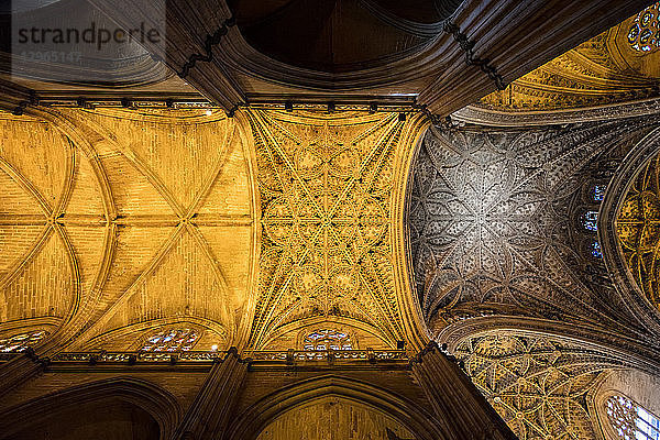 Blick auf eine Decke der Kathedrale von Sevilla  Sevilla  Spanien