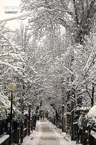 Frankreich  Pre-Saint-Gervais. Eine von Bäumen gesäumte Gasse im Schnee.